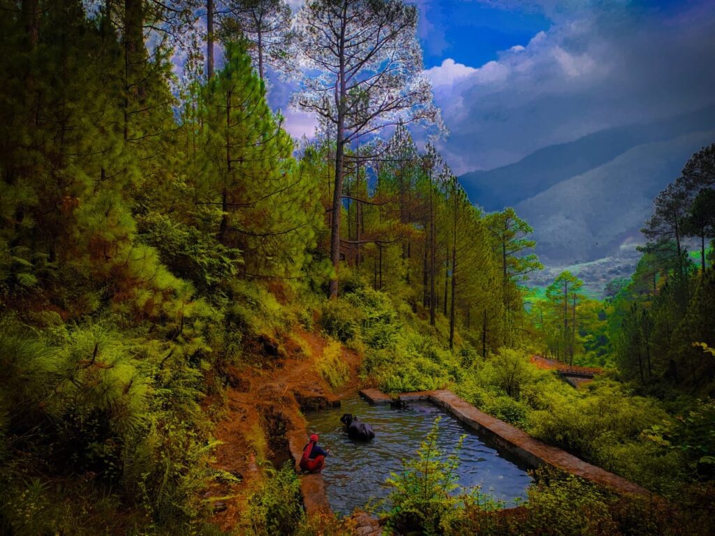 10-Tourist-Places-to-visit-in-Ranikhet